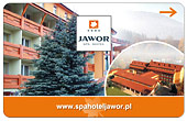 jawor